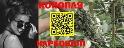 МДПВ Рыбинск