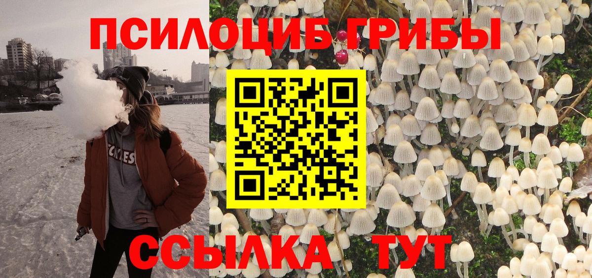 Псилоцибиновые грибы GOLDEN TEACHER  Псилоцибиновые грибы Cubensis  Вход с VPN  Рубцовск 