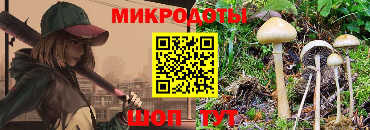 Псилоцибиновые грибы ЛСД Рубцовск